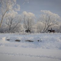 Зима :: Олег Миндлин