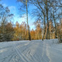 Больше снега-больше лыжников. :: Милешкин Владимир Алексеевич 