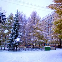 Первый снег.2015 :: Артём Бояринцев