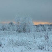 Зимний пейзаж :: Денис Матвеев