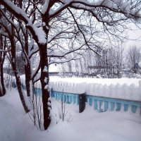 Снежный этюд :: Николай Туркин 