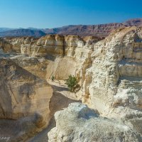 Краски пустыни Негев :: сергей cередовой