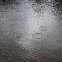 Дождь на реке :: Булаткина Светлана 