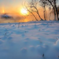 Морозный рассвет января... :: Андрей Войцехов