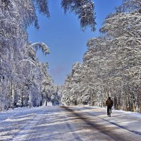 Дорога  зимняя. :: Валера39 Василевский.