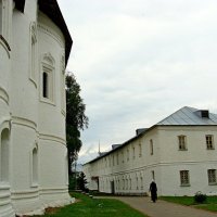 Толгский женский монастырь :: Tata Wolf