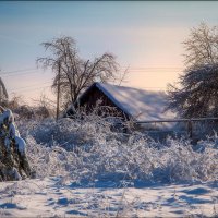 Зима в деревне :: Елена Ерошевич