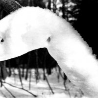 Снежный змей :: Валерий Талашов 