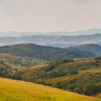 По дороге в Бухтарму :: Максим Рожин