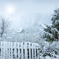 Зима в Молочном :: Валерий Талашов 