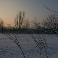 снег искрился на морозе пред закатом розовым безмолвным :: Алексей -