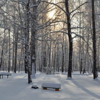 Мороз и солнце :: Иван Торопов