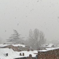 В Тбилиси снег - первый :: Наталья (D.Nat@lia)