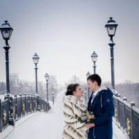 зимняя свадьба (4) :: елена брюханова