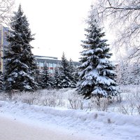 Зима :: Светлана Ку
