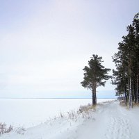 На берегу. :: Мила Бовкун