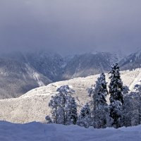 Зимнее очарование :: Виктор Скайбери