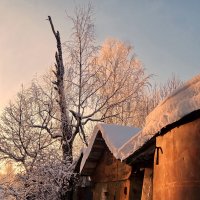 Вечерний свет :: Валерий Талашов 