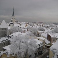 Зима в Таллине :: Vera Pimakhova 