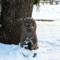Ёжик в снегу. :: Леонид Марголис