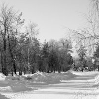 Черно-белая зима :: Екатерина Голышева