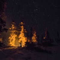 ночь в лесу :: Александр Чаринцев 