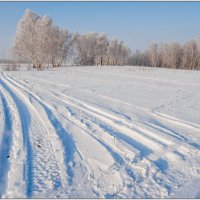 Зимник :: Сергей Бережко