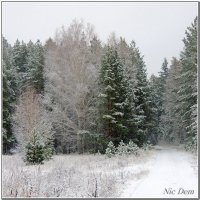 А снег идёт... :: Николай Дементьев 