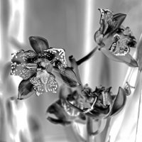 Орхидеи-контражур :: Виталий Авакян