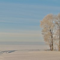 На берегу. :: Галина .