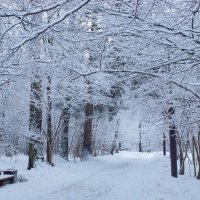 Закончилась метель. :: Лилия Гудкова