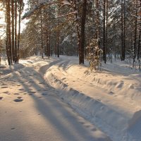 Лесная дорога :: Валерий Толмачев