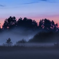 Долина ёжиков в тумане :: Людмила Быстрова