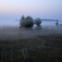 Туман :: Федор Пшеничный