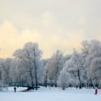 зимний парк :: Елена 