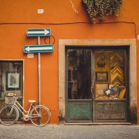 Roma bike :: Alena Kramarenko