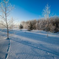 Следы на снегу :: Виктор Садырин