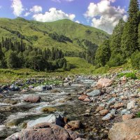 В горах Абхазии :: Natalia Furina