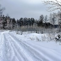 И светятся снега февральской грустью... :: Лесо-Вед (Баранов)