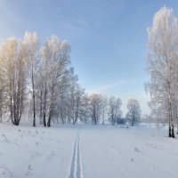 февраль :: Николай Мальцев