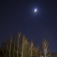 Ночной пейзаж с березками, Луной и следами машин :: Андрей Попов