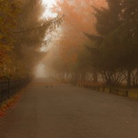 Осень. Туман. :: Natalia Furina