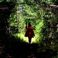 Прогулка по лесу. :: Валерий Гудков