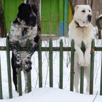 ...Заходите,если что!:))) :: Рудаков Сергей 