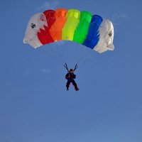 Соревнования по парашютному спорту. :: Алексей Хаустов