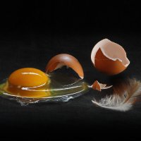 Разбитое яйцо. :: Сергей Фунтовой 