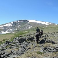 Заказник Позарым. Вершина всё ближе. :: Сергей Карцев