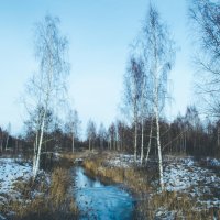 Река и берёзки зимой :: Slava Leluga 