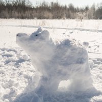 Снежный пес :: Андрей Зайцев