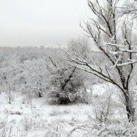 Зима :: Aleksey Litovchenko